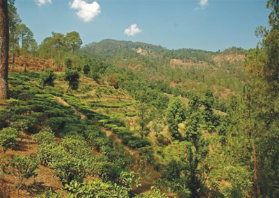 HEAVEN OF UTTRANCHAL